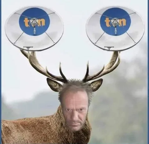 Deer With Basketball Hoop Antlers