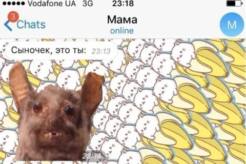 Сыночек, это ты?