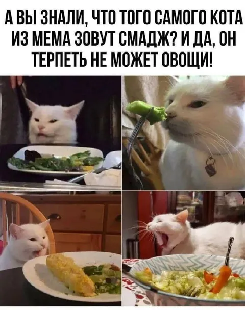 Смадж терпеть не может овощи