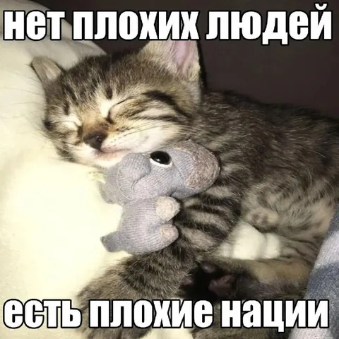 Нет плохих людей, есть плохие нации