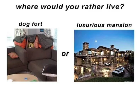Dog Fort or Luxury Mansion