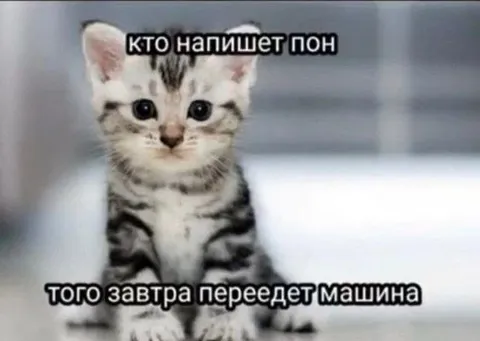 Кто напишет пон
