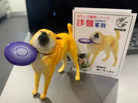 紫のフリスビー犬のおもちゃ