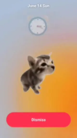 Wake Up Cat Explosion Alarm