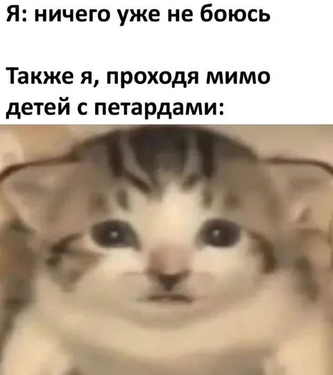 Ничего не боюсь рядом с петардами
