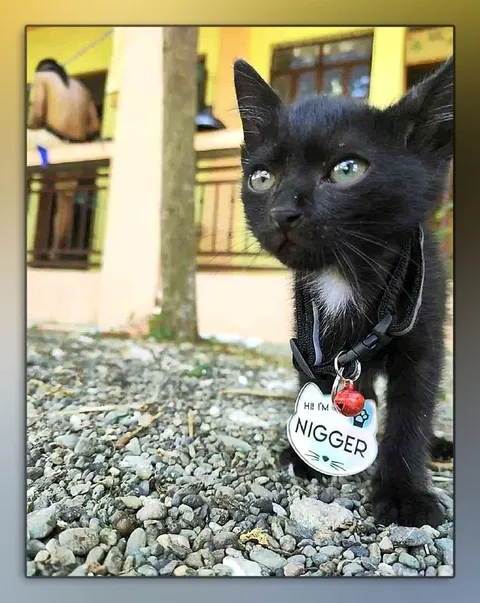 Black Cat Name Tag