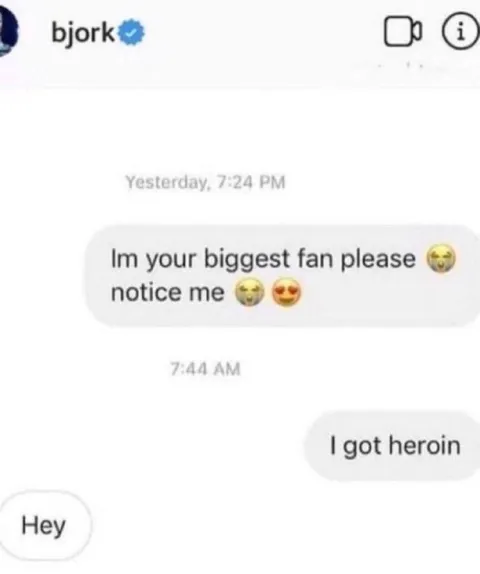 Bjork Fan Gets Noticed