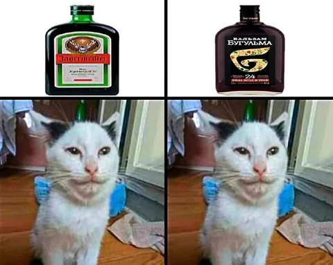 Ягермейстер и Бугульма