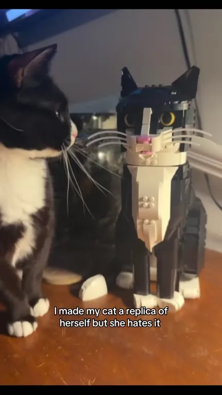 Cat Hates Its Robot Replica