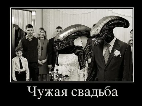 Чужая свадьба