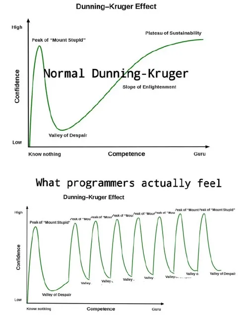 What Programmers Actually Feel