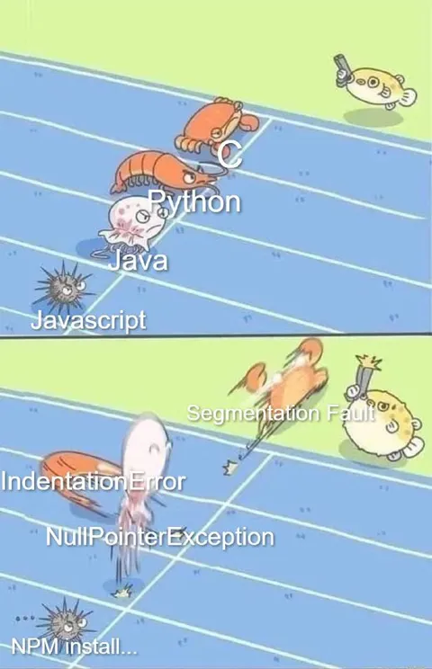 Programming Languages Race to Failure