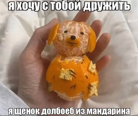 Щенок-долбоёб из мандарина