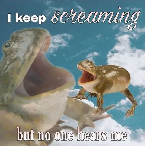I Keep Screaming Frog