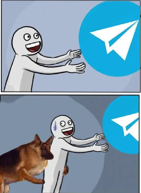 Собака тащит к Телеграму