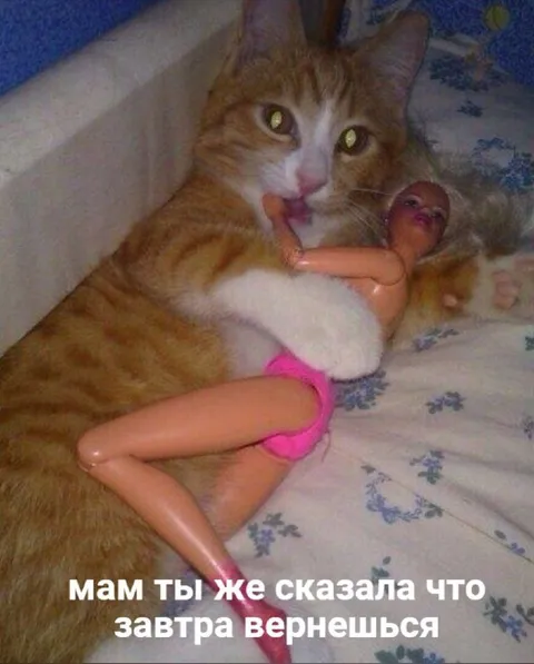 Мам ты же сказала что завтра вернешься