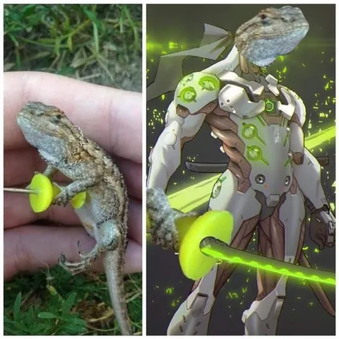 Ящерица с зелёным мечом