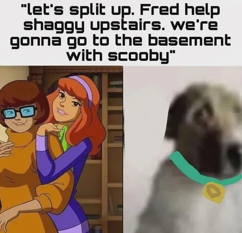 Split Up With Scooby