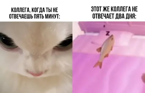 Коллега не отвечает два дня