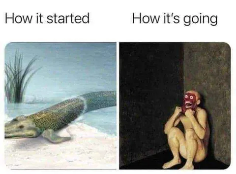 How It Started vs How It’s Going