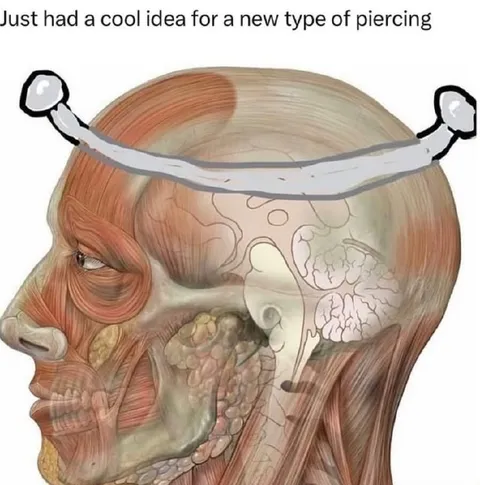Cool New Piercing Idea