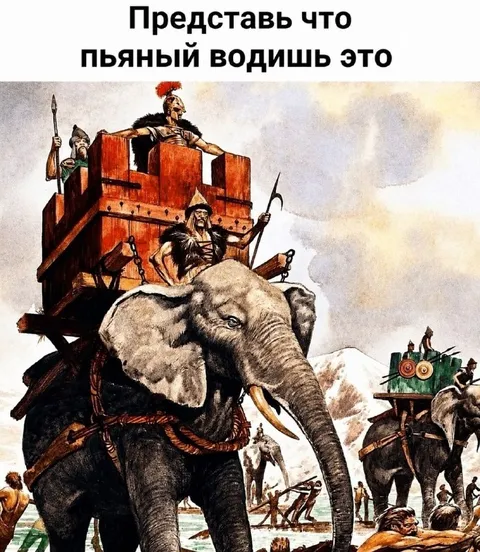 Пьяный слон на войне