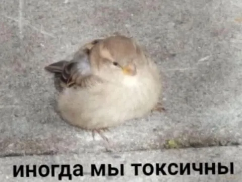 Иногда мы токсичны