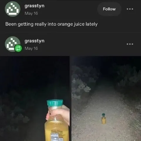 Really Into Orange Juice