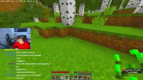 Minecraft Streamer Loses It
