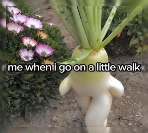 Radish Going for a Little Walk