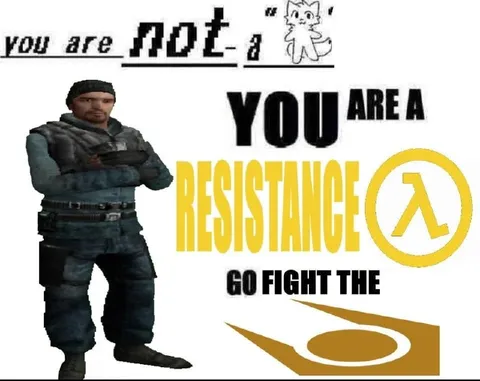You Are Not a Cat