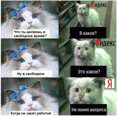 Когда не занят работой
