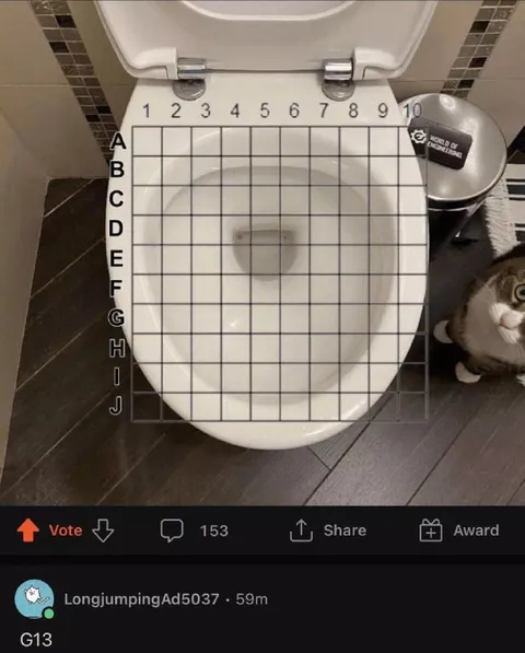 Toilet Battleship