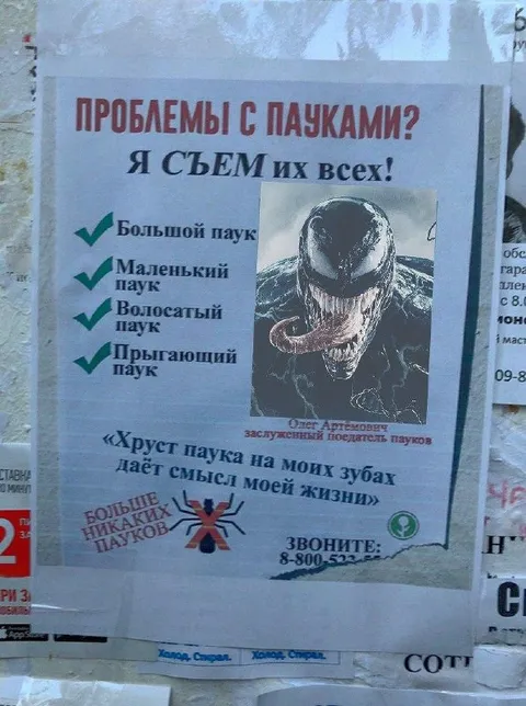 Проблемы с пауками