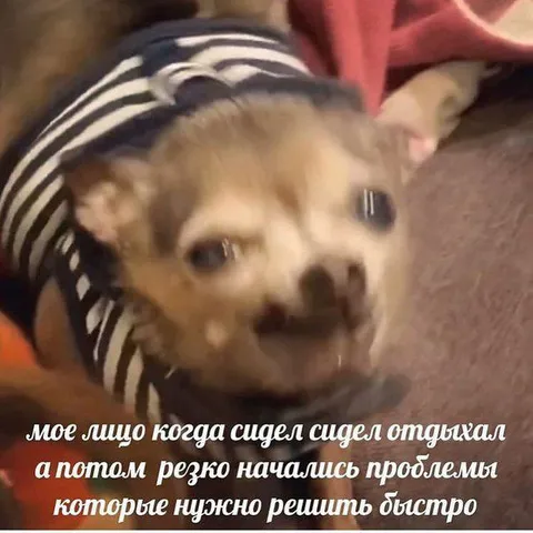 Лицо при внезапных проблемах