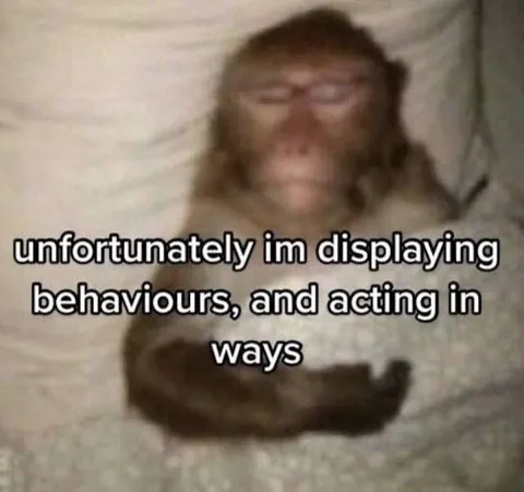Monkey Displaying Behaviours