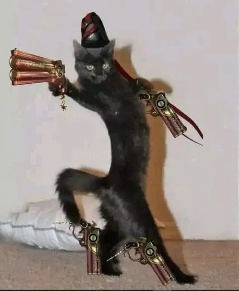Кот с четырьмя пистолетами