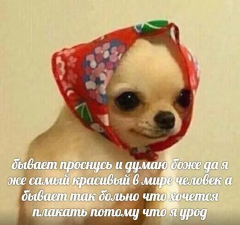 Когда просыпаешься красавчиком и уродом