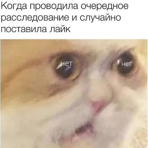 Кот случайно поставил лайк