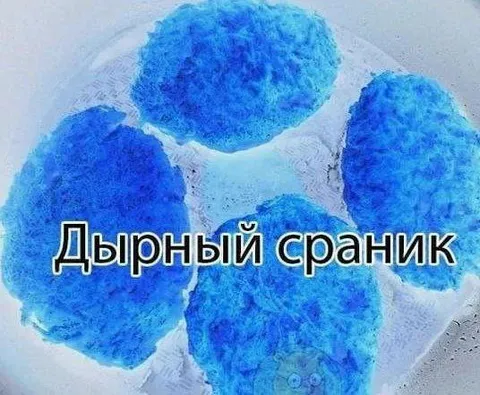 Дырный сраник