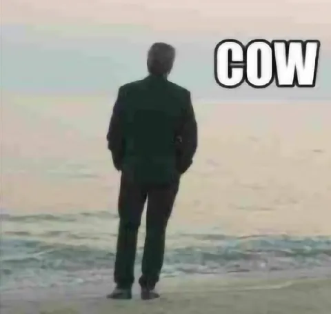 Man Walking Into the Sea Cow