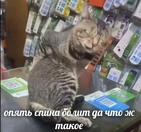 Опять спина болит