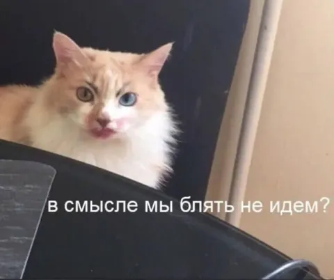 В смысле мы не идем?