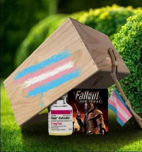 Fallout Estradiol Survival Kit