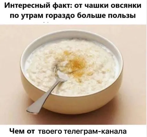 Овсянка полезнее телеграм-канала