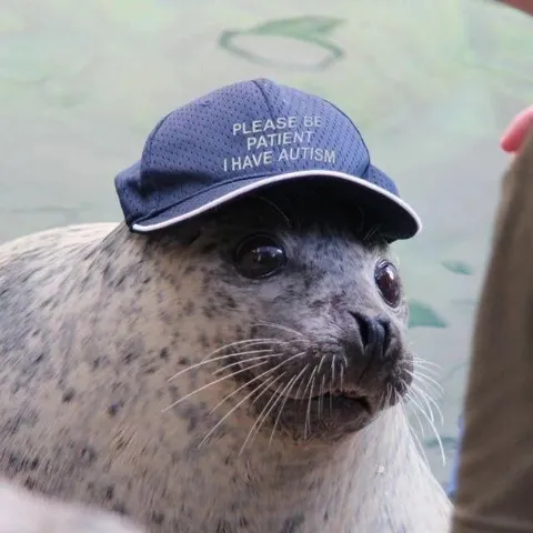 Please Be Patient Seal