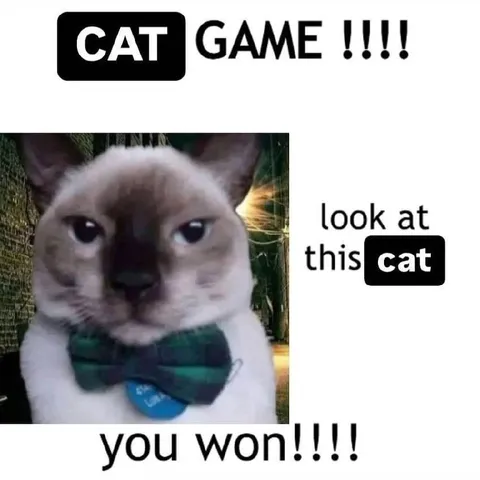 Cat Game You Won