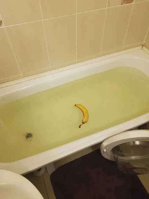 Банан в мутной ванне