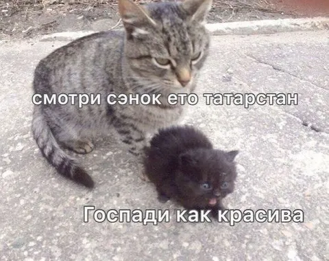 Смотри, сынок, это Татарстан