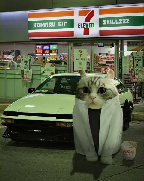 Cat Outside 7-Eleven